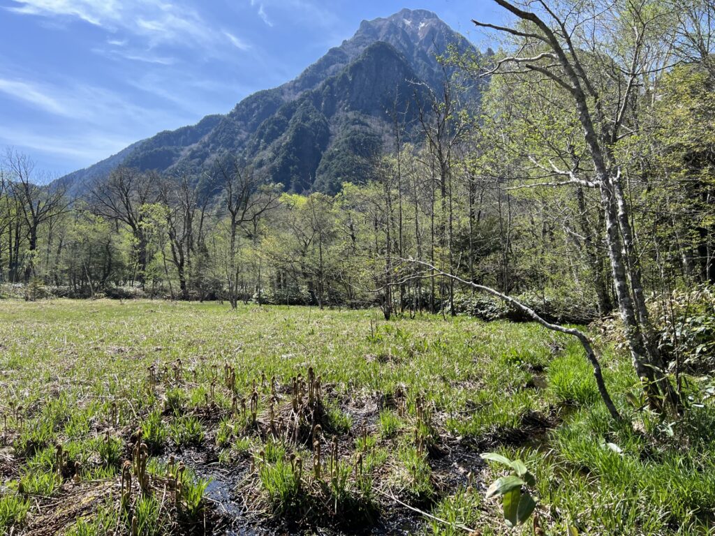 長野山間部