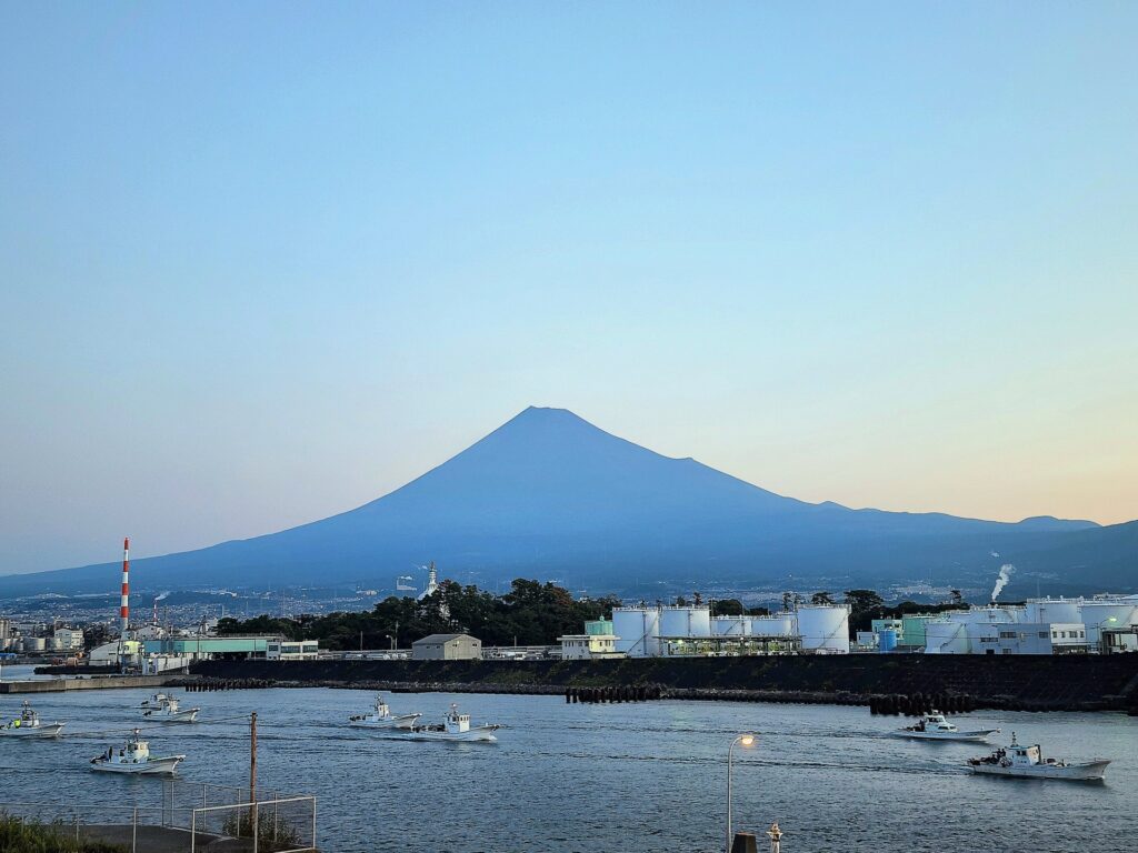 シラス漁